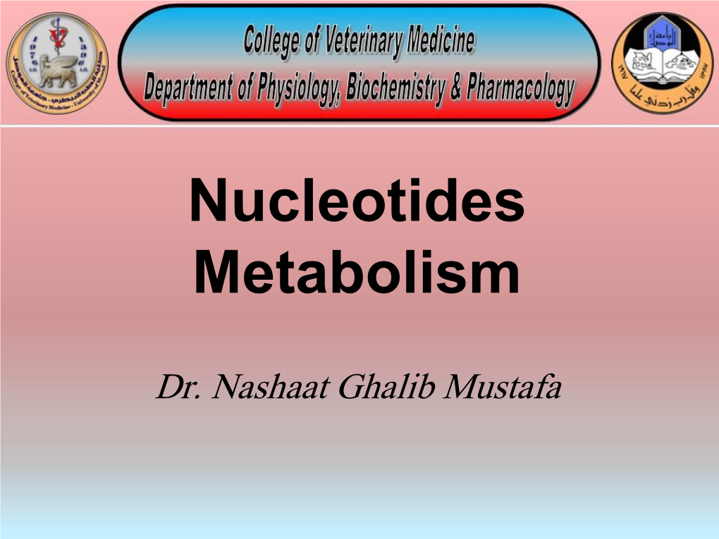 Nucleotides Metabolism