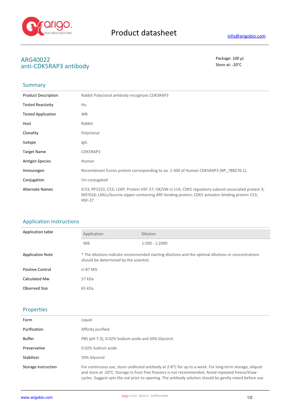 Anti-CDK5RAP3 Antibody (ARG40022)