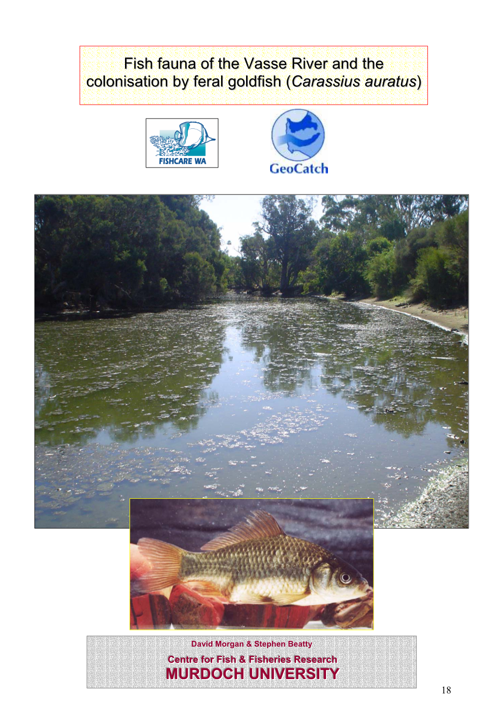 Fish Fauna of the Vasse River and the Colonisation by Feral Goldfish (Carassius Auratus)
