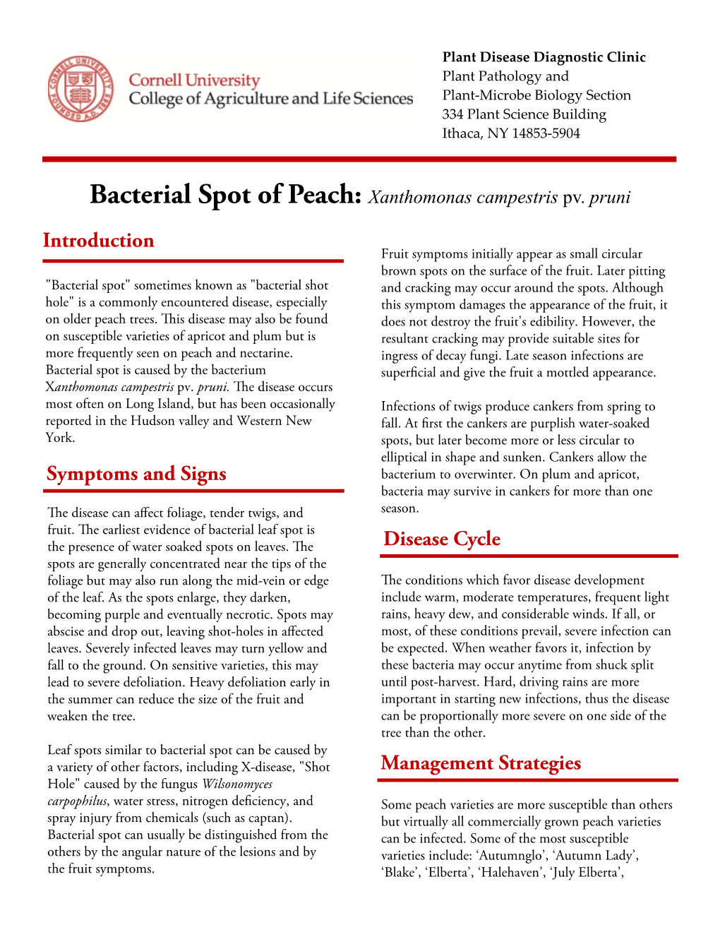 Bacterial Spot of Peach: Xanthomonas Campestris Pv. Pruni Introduction Fruit Symptoms Initially Appear As Small Circular Brown Spots on the Surface of the Fruit