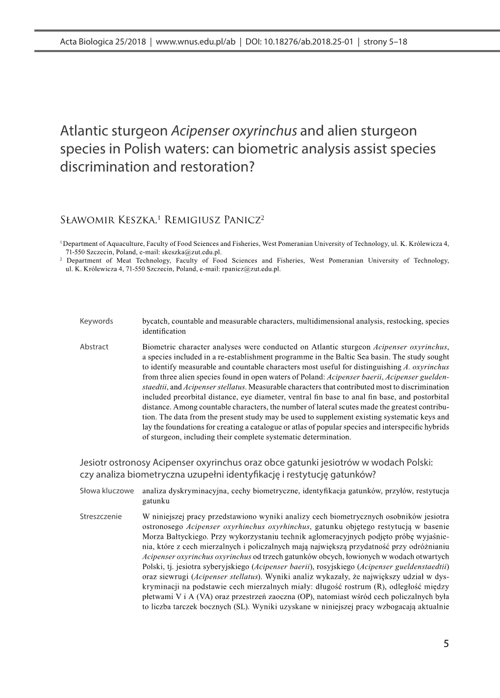 Atlantic Sturgeon Acipenser Oxyrinchus and Alien Sturgeon Species in Polish Waters: Can Biometric Analysis Assist Species Discrimination and Restoration?