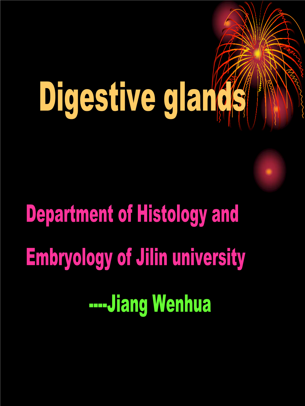 Digestive Glands