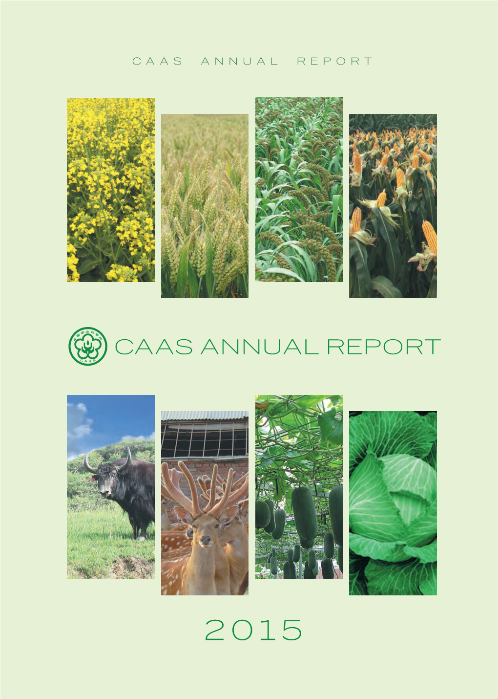 Caas Annual Report