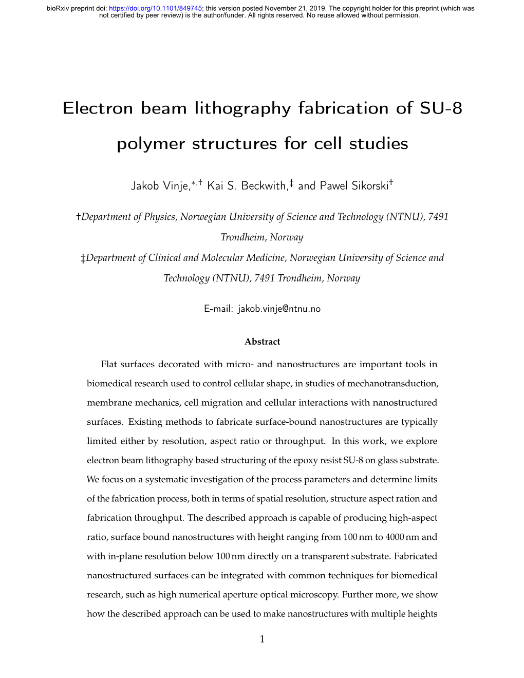 Electron Beam Lithography Fabrication of SU-8 Polymer Structures for Cell Studies