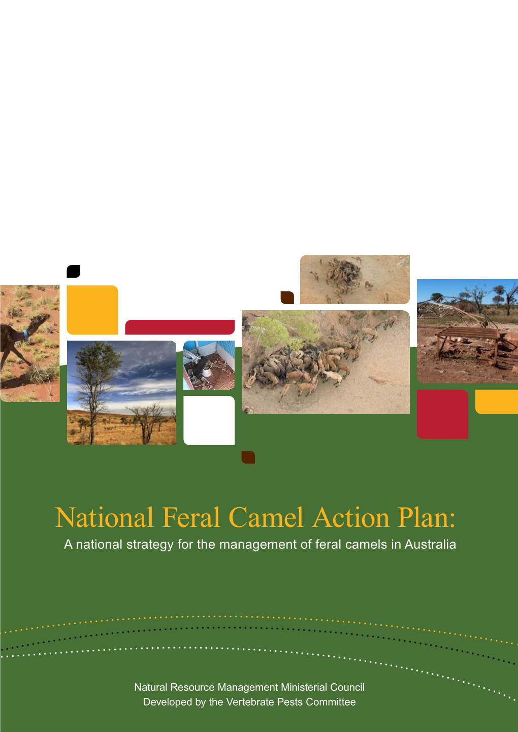 National Feral Camel Action Plan: a National Strategy for the Management of Feral Camels in Australia