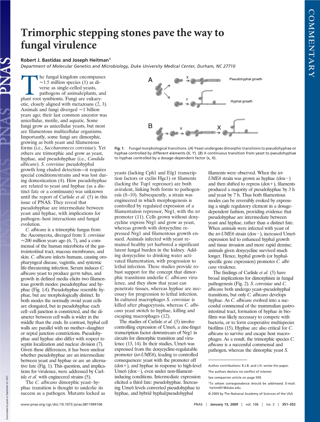 Trimorphic Stepping Stones Pave the Way to Fungal Virulence