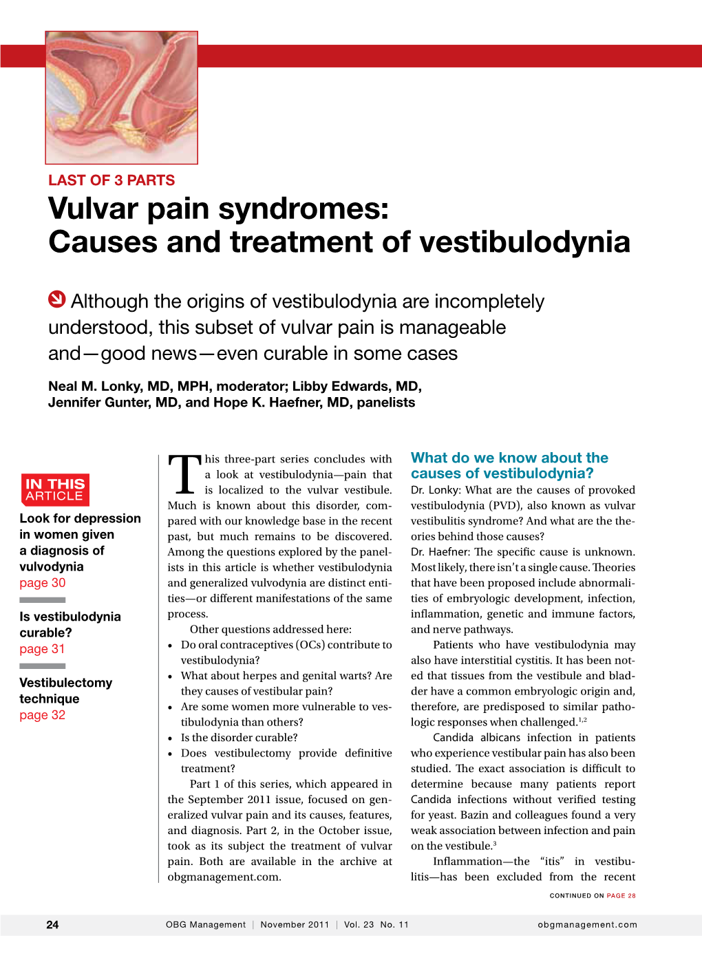 Vulvar Pain Syndromes: Causes and Treatment of Vestibulodynia