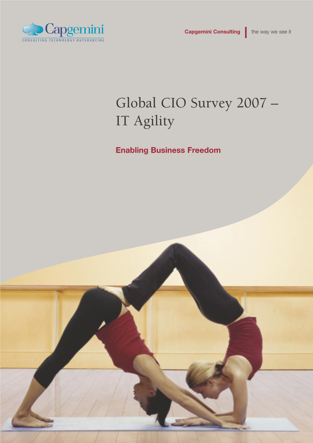 Global CIO Survey 2007 – IT Agility