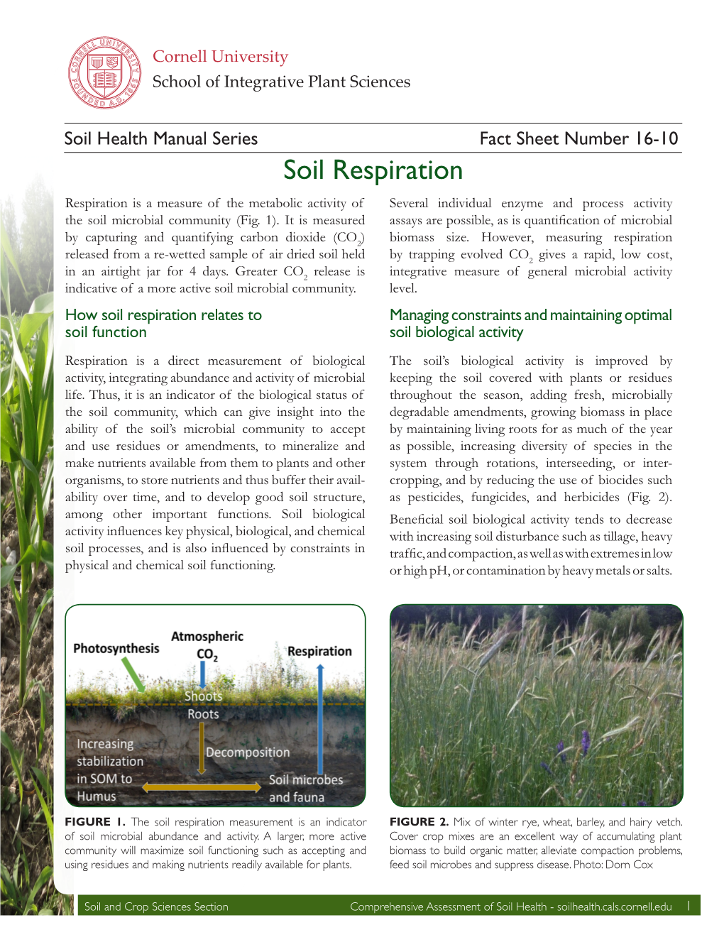 Soil Respiration Respiration Is a Measure of the Metabolic Activity of Several Individual Enzyme and Process Activity the Soil Microbial Community (Fig