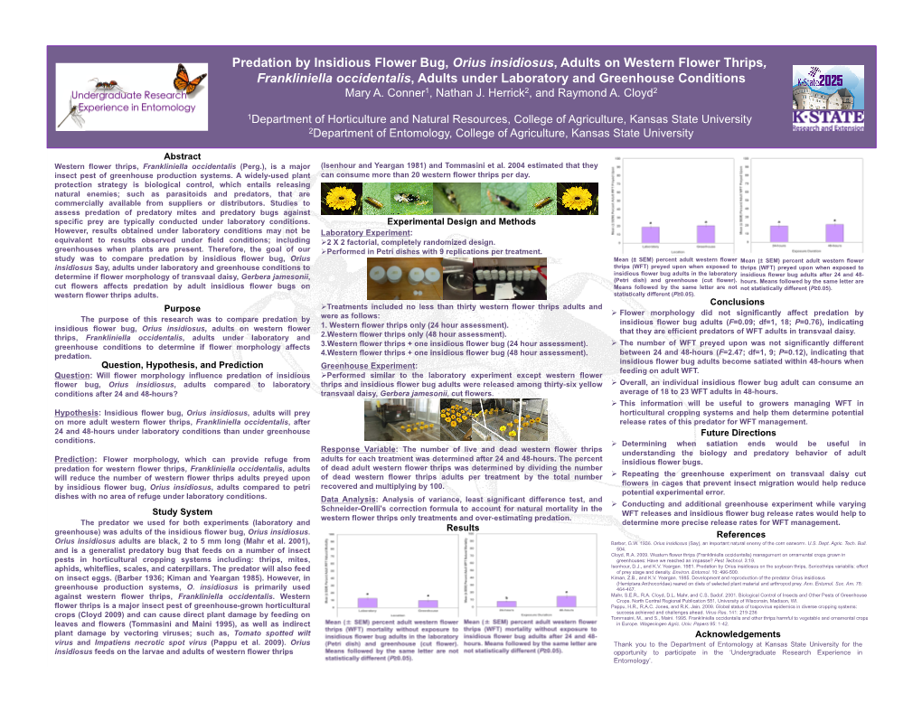 Predation by Insidious Flower Bug, Orius Insidiosus, Adults on Western Flower Thrips, Frankliniella Occidentalis, Adults Under L