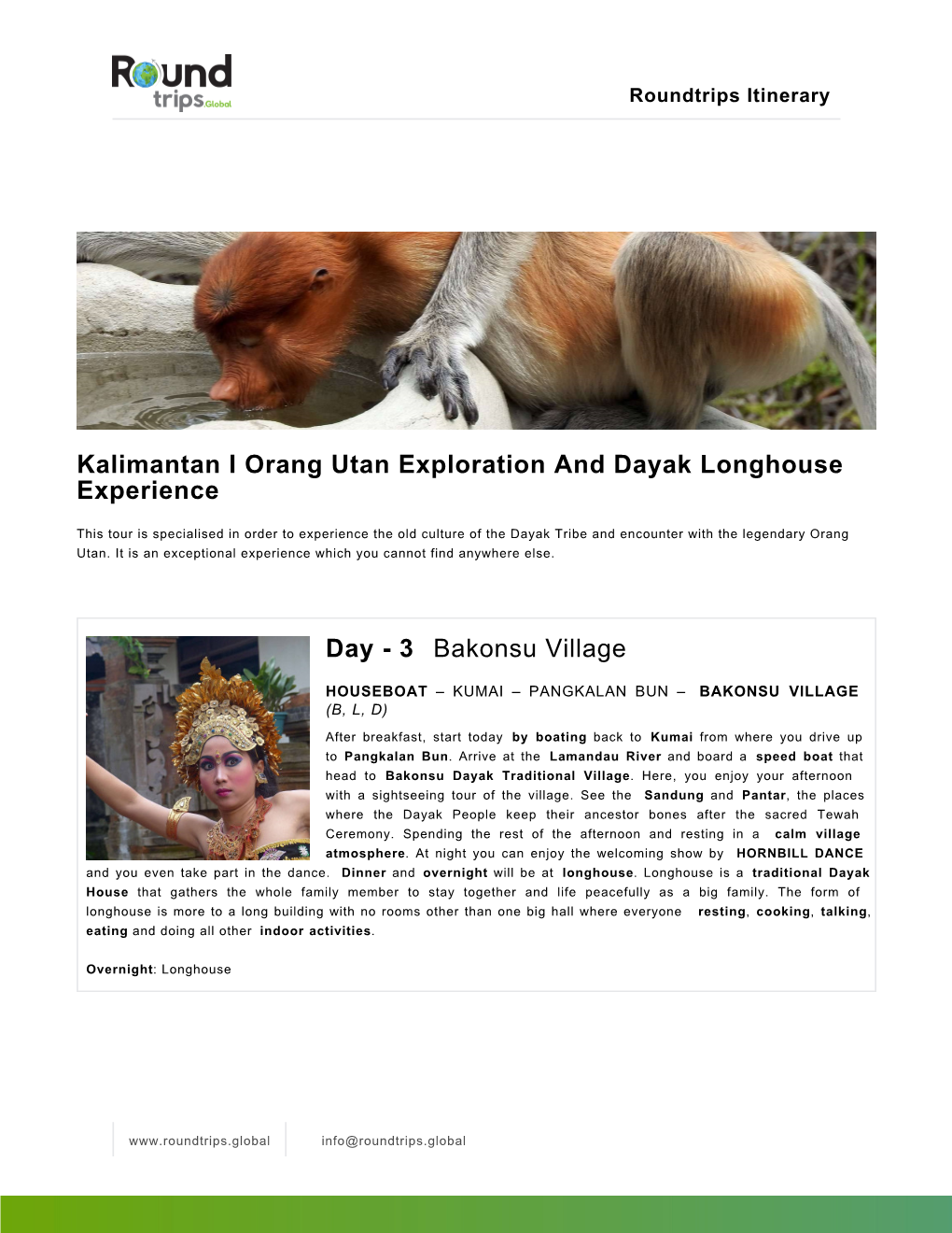 Kalimantan I Orang Utan Exploration and Dayak Longhouse Experience