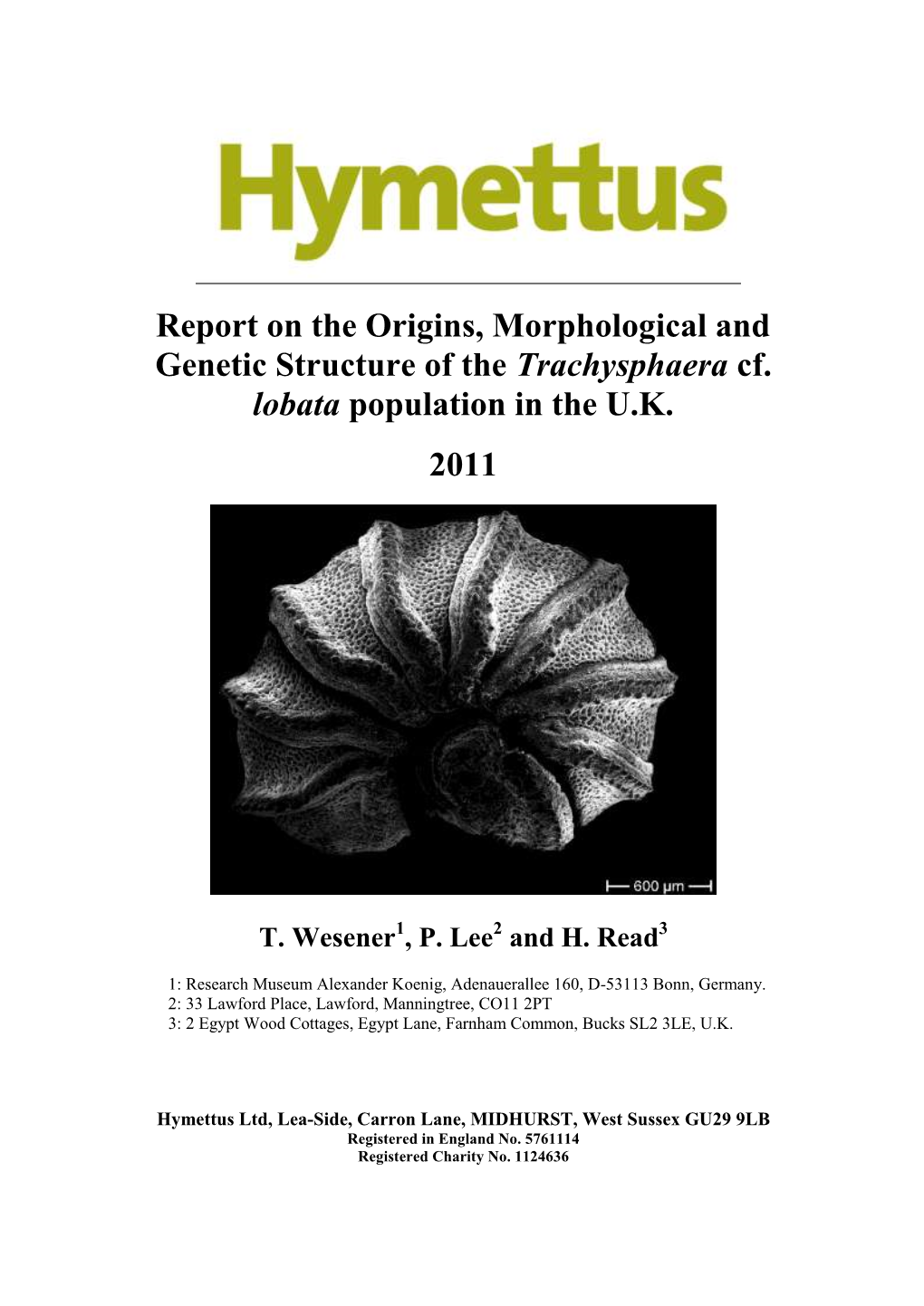 Report on the Origins, Morphological and Genetic Structure of the Trachysphaera Cf. Lobata Population in the U.K. 2011