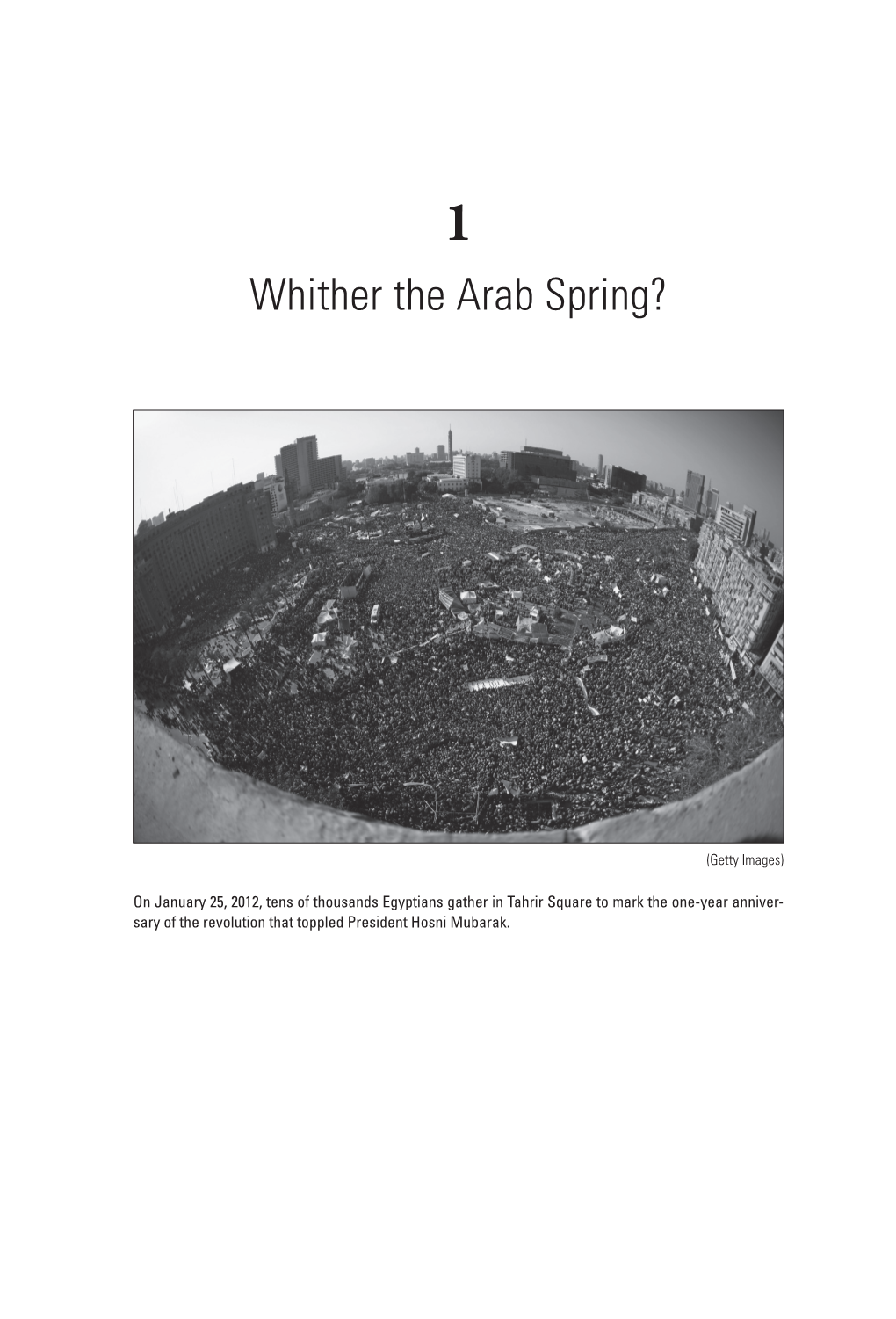 Whither the Arab Spring?