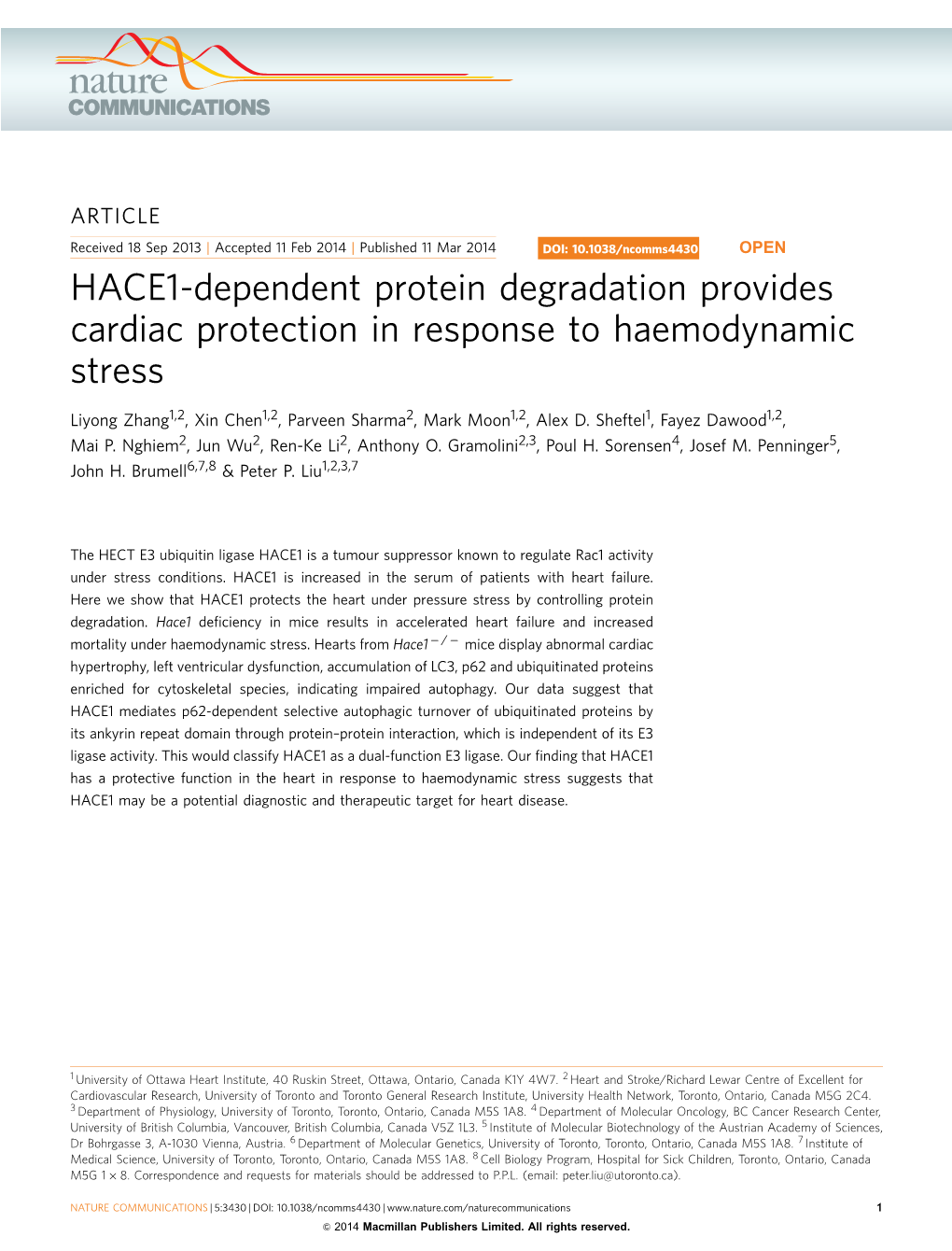 HACE1-Dependent Protein Degradation Provides Cardiac Protection in Response to Haemodynamic Stress