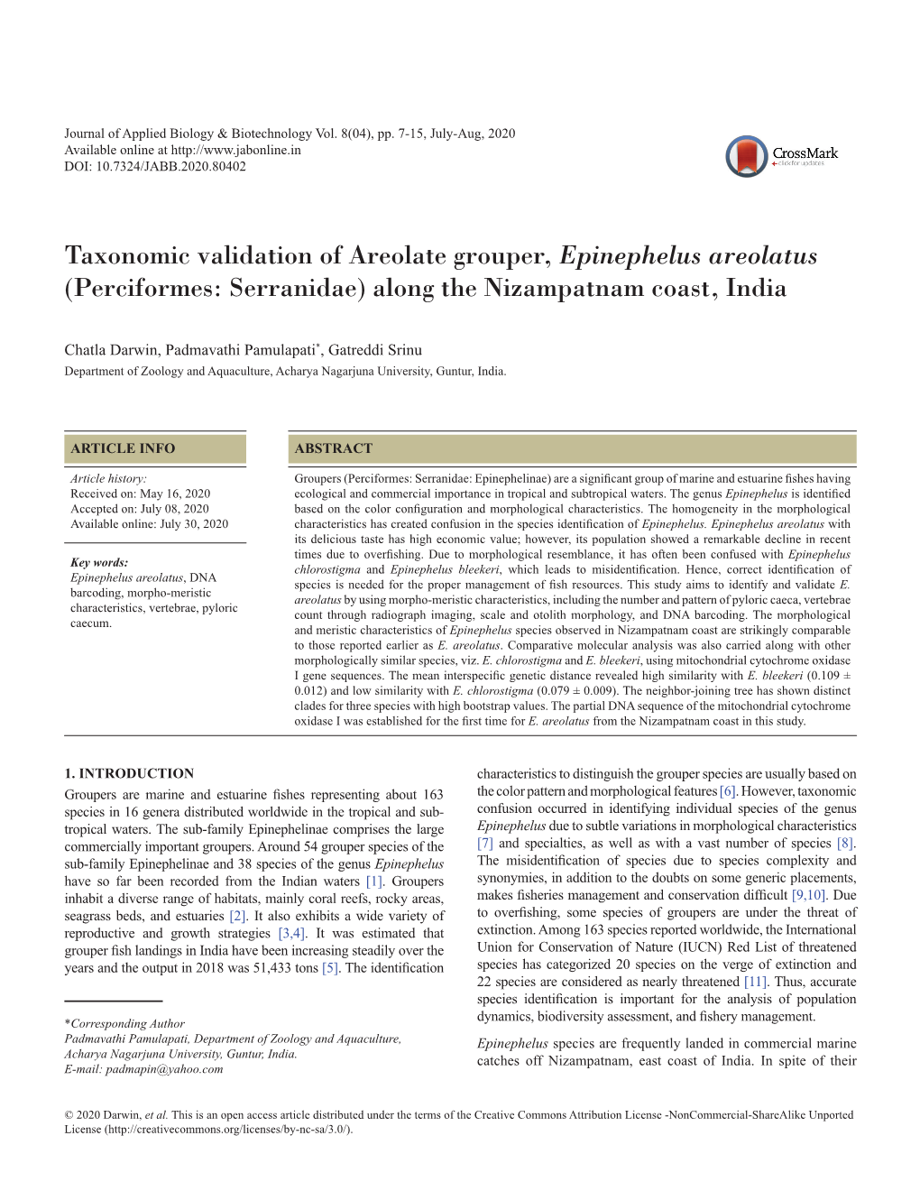 Taxonomic Validation of Areolate Grouper, Epinephelus Areolatus (Perciformes: Serranidae) Along the Nizampatnam Coast, India