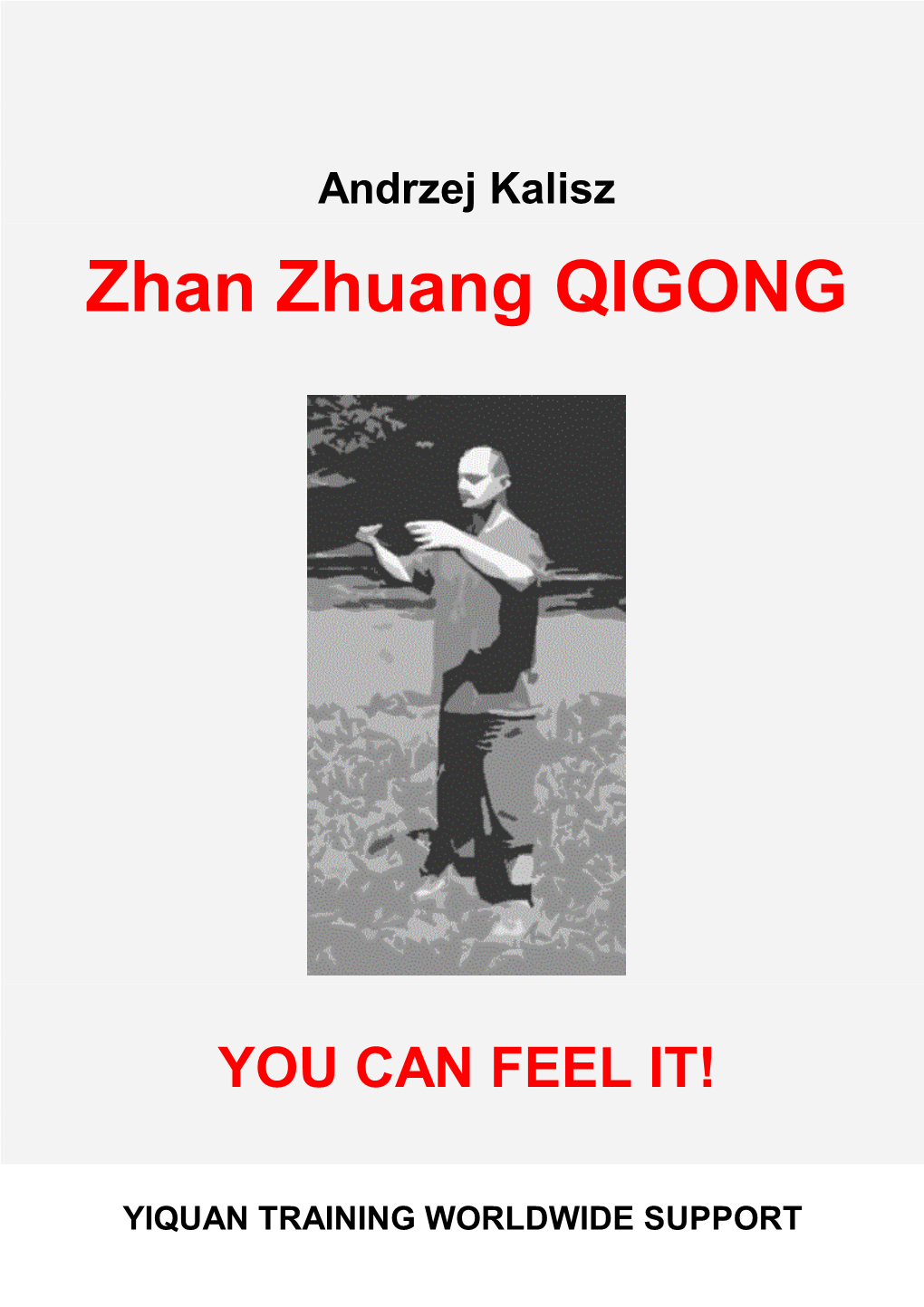 Zhan Zhuang QIGONG