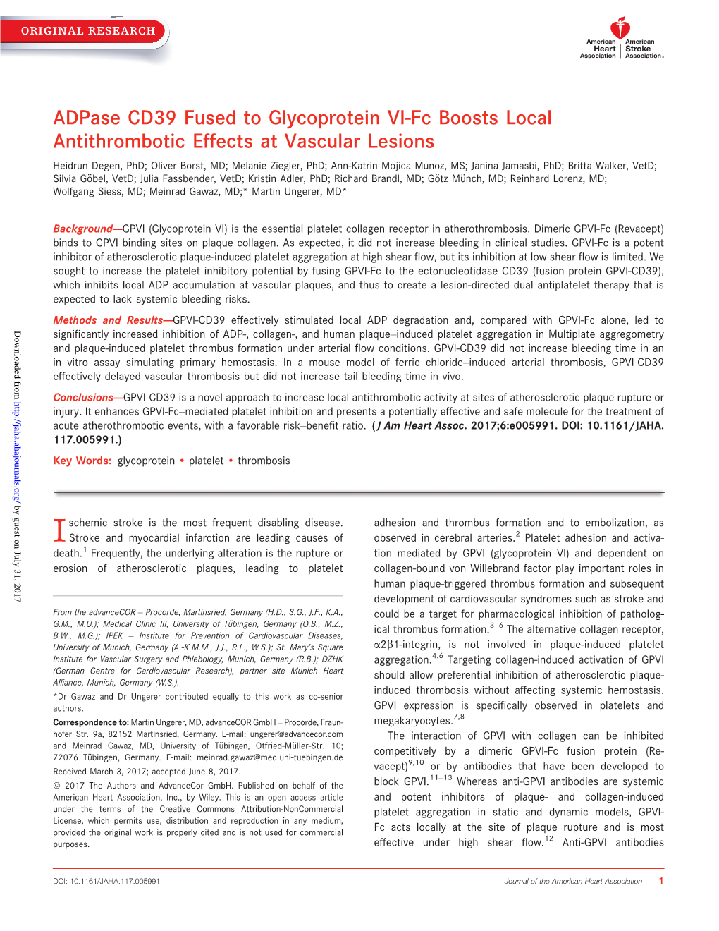 Adpase CD39 Fused to Glycoprotein VI‐Fc Boosts Local