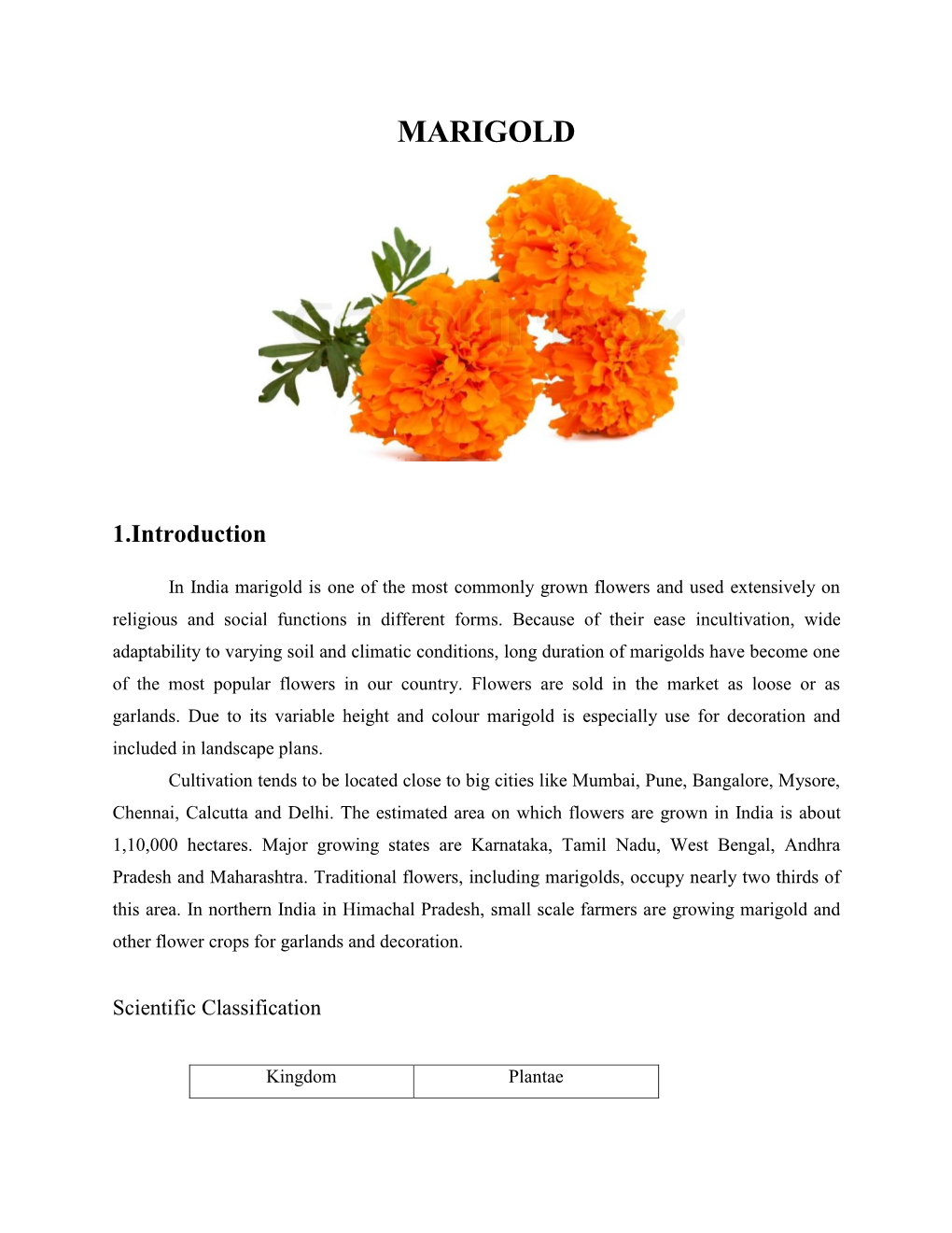 156595837813.Marigold.Pdf.Pdf