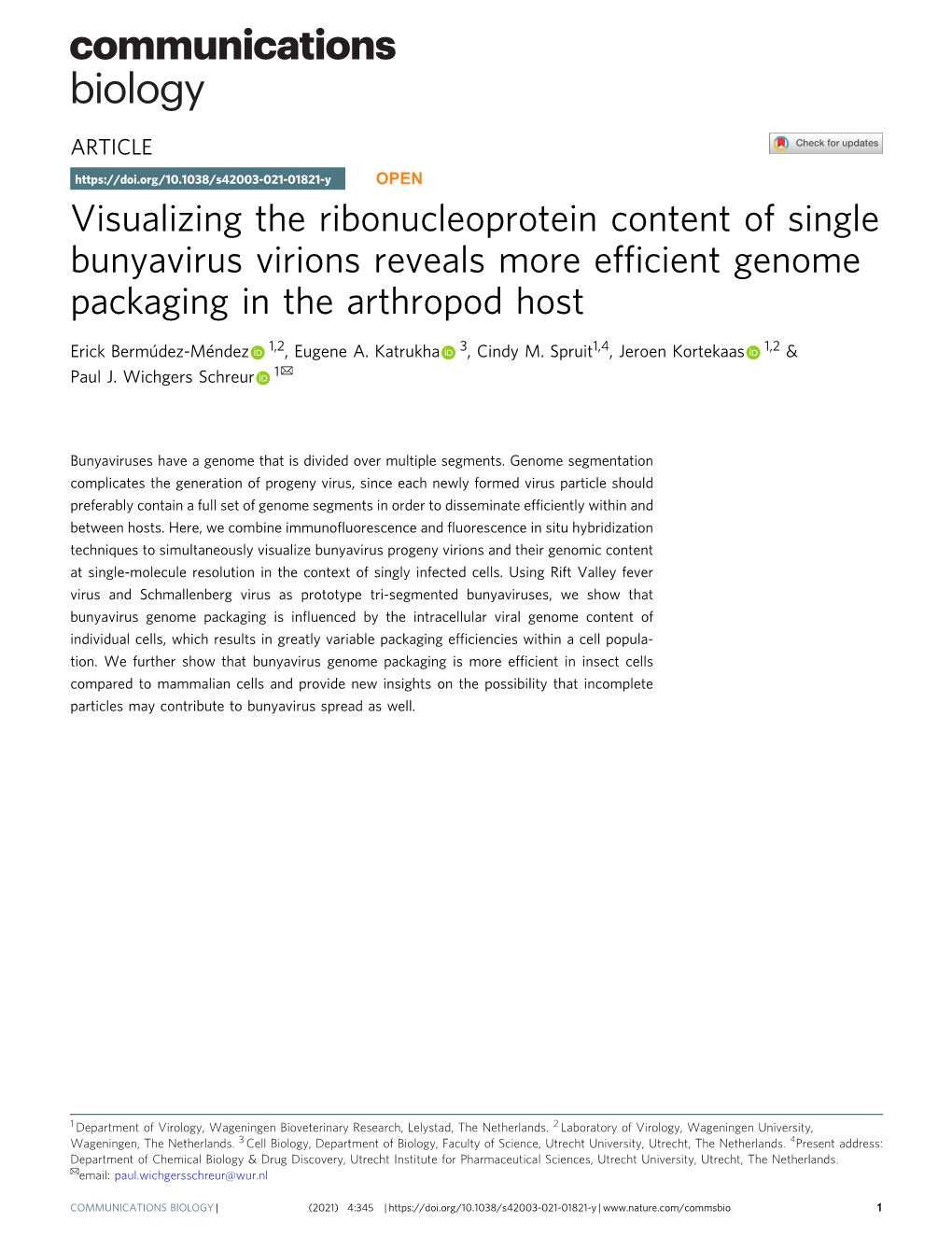 Visualizing the Ribonucleoprotein Content of Single Bunyavirus Virions Reveals More Efficient Genome Packaging in the Arthropod