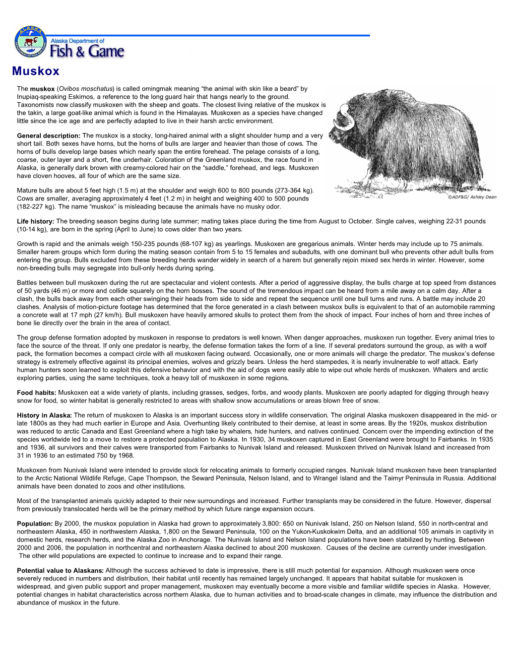 Muskox: Alaska Department of Fish and Game Wildlife Notebook Series