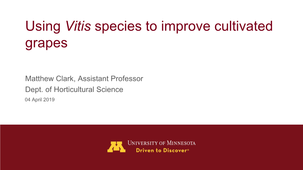 Using Vitis Species to Improve Cultivated Grapes