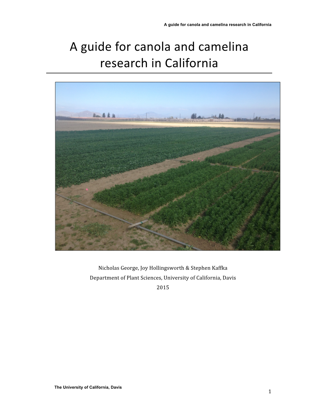 Canola & Camelina Research Guide 4