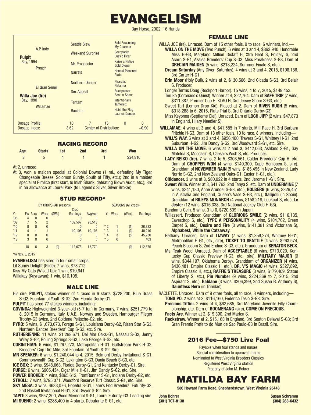 Evangelism Bay Horse, 2002; 16 Hands Female Line Seattle Slew Bold Reasoning Willa Joe (Ire)