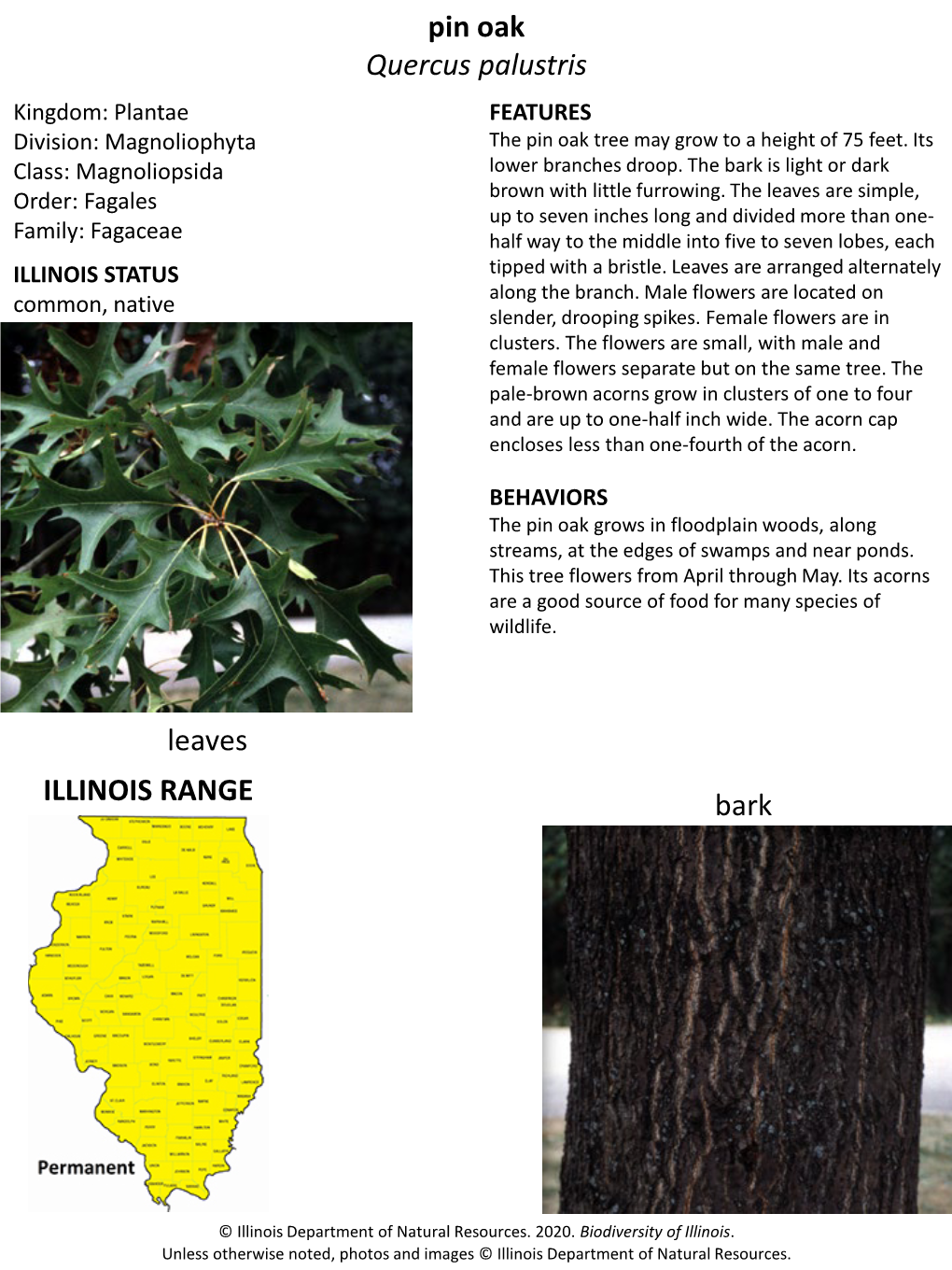 Aquatic Habitats Bottomland Forests; Lakes, Ponds and Reservoirs; Rivers and Streams; Swamps