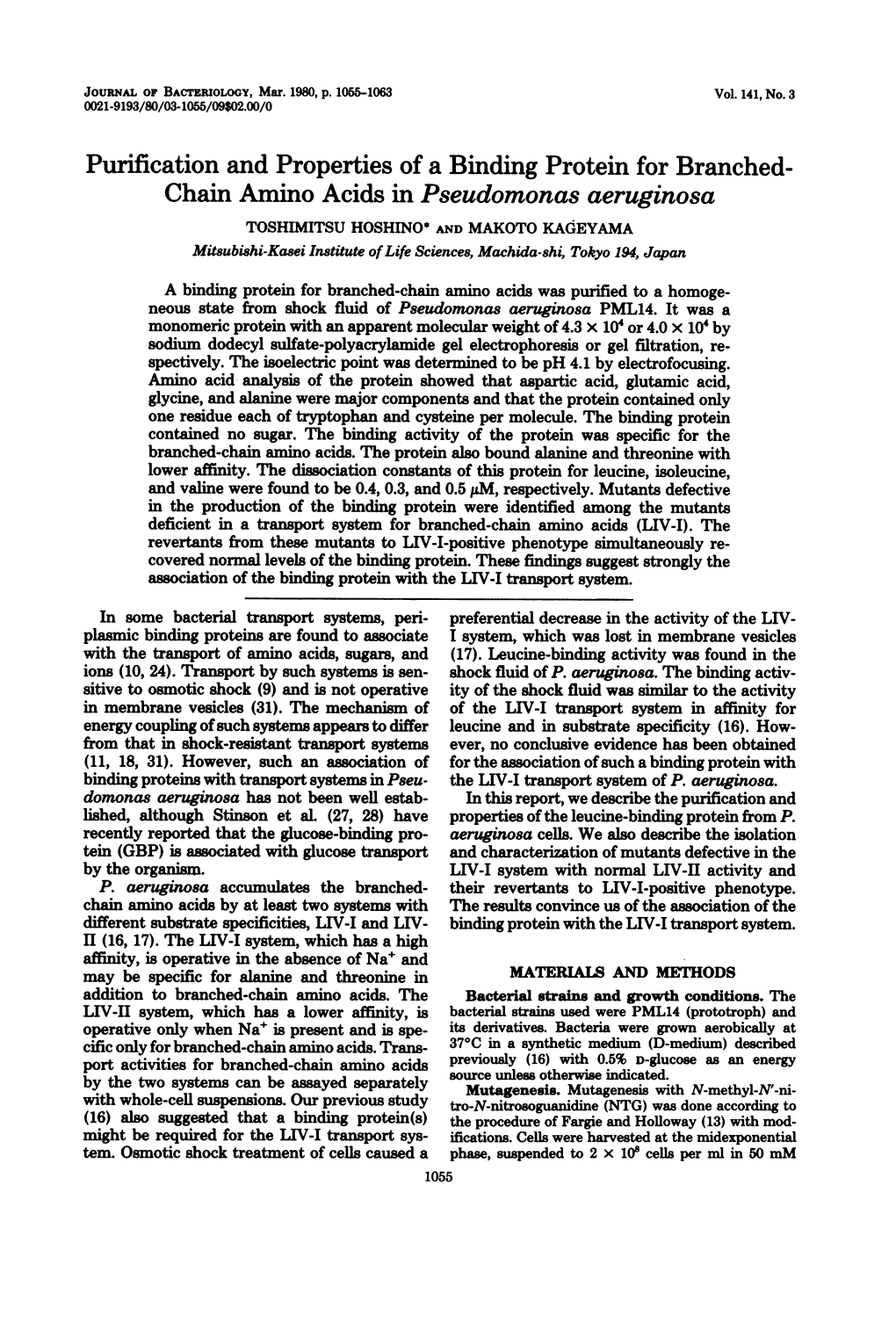 Chain Amino Acids in Pseudomonas Aeruginosa