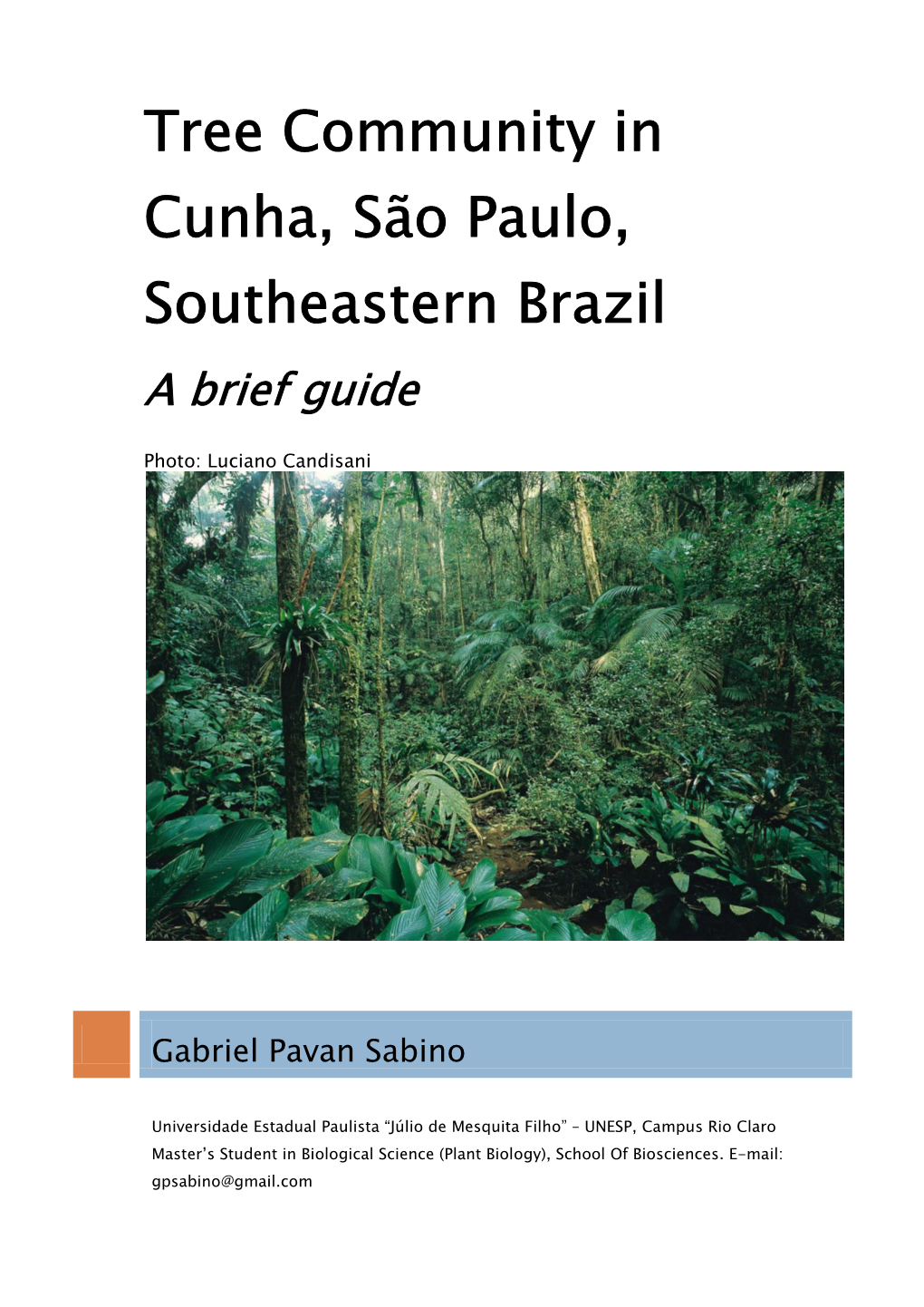 Tree Community in Cunha, São Paulo, Southeastern Brazil