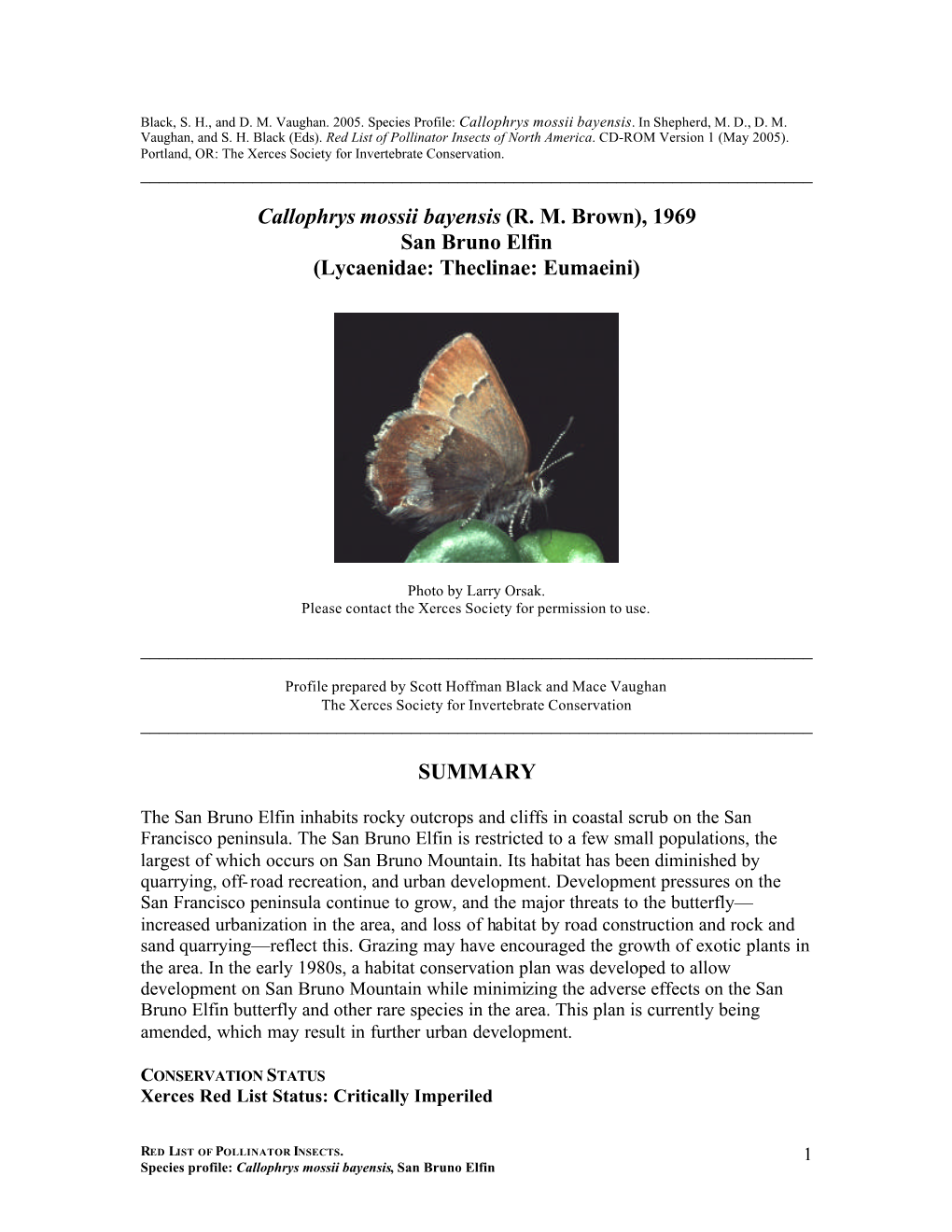 Profile for San Bruno Elfin, Callophrys Mossii Bayensis