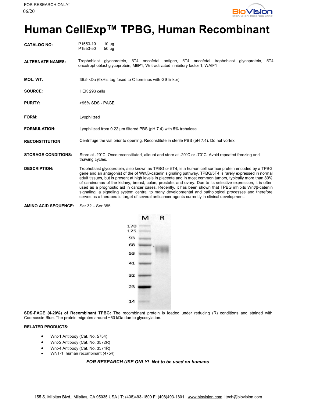 Human Cellexp™ TPBG, Human Recombinant