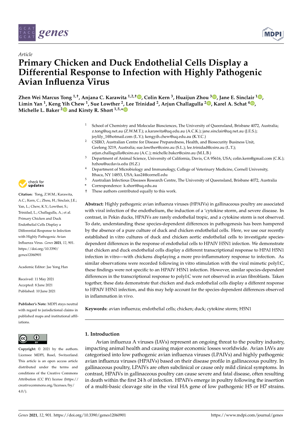 Primary Chicken and Duck Endothelial Cells Display a Differential Response to Infection with Highly Pathogenic Avian Inﬂuenza Virus