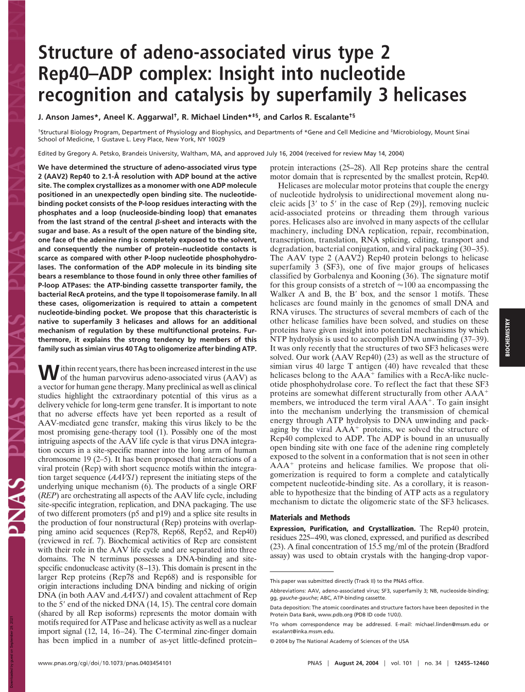 Structure of Adeno-Associated Virus Type 2 Rep40–ADP Complex: Insight Into Nucleotide Recognition and Catalysis by Superfamily 3 Helicases