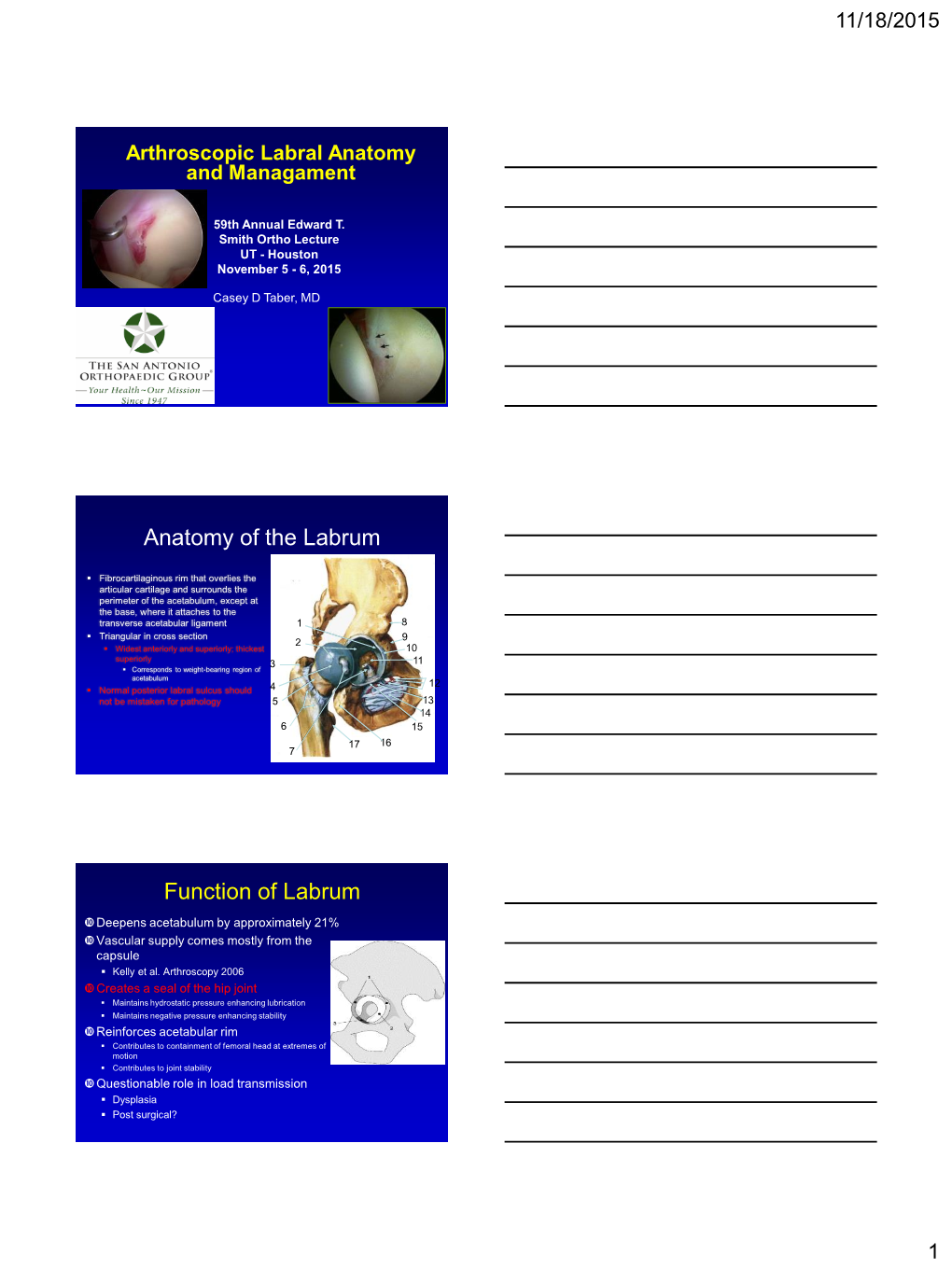 Anatomy of the Labrum Function of Labrum