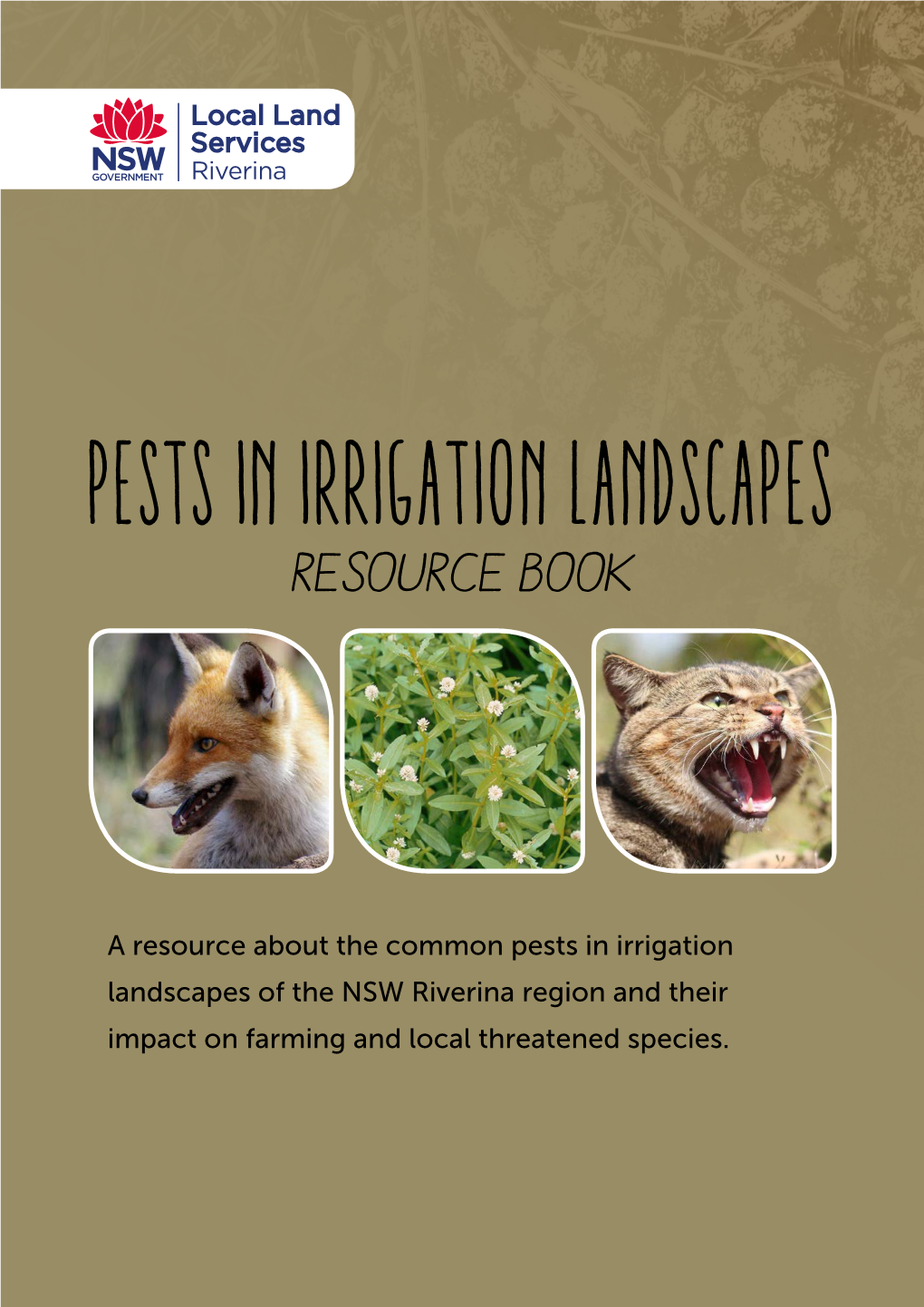 A Resource About the Common Pests in Irrigation Landscapes of the NSW Riverina Region and Their Impact on Farming and Local Threatened Species