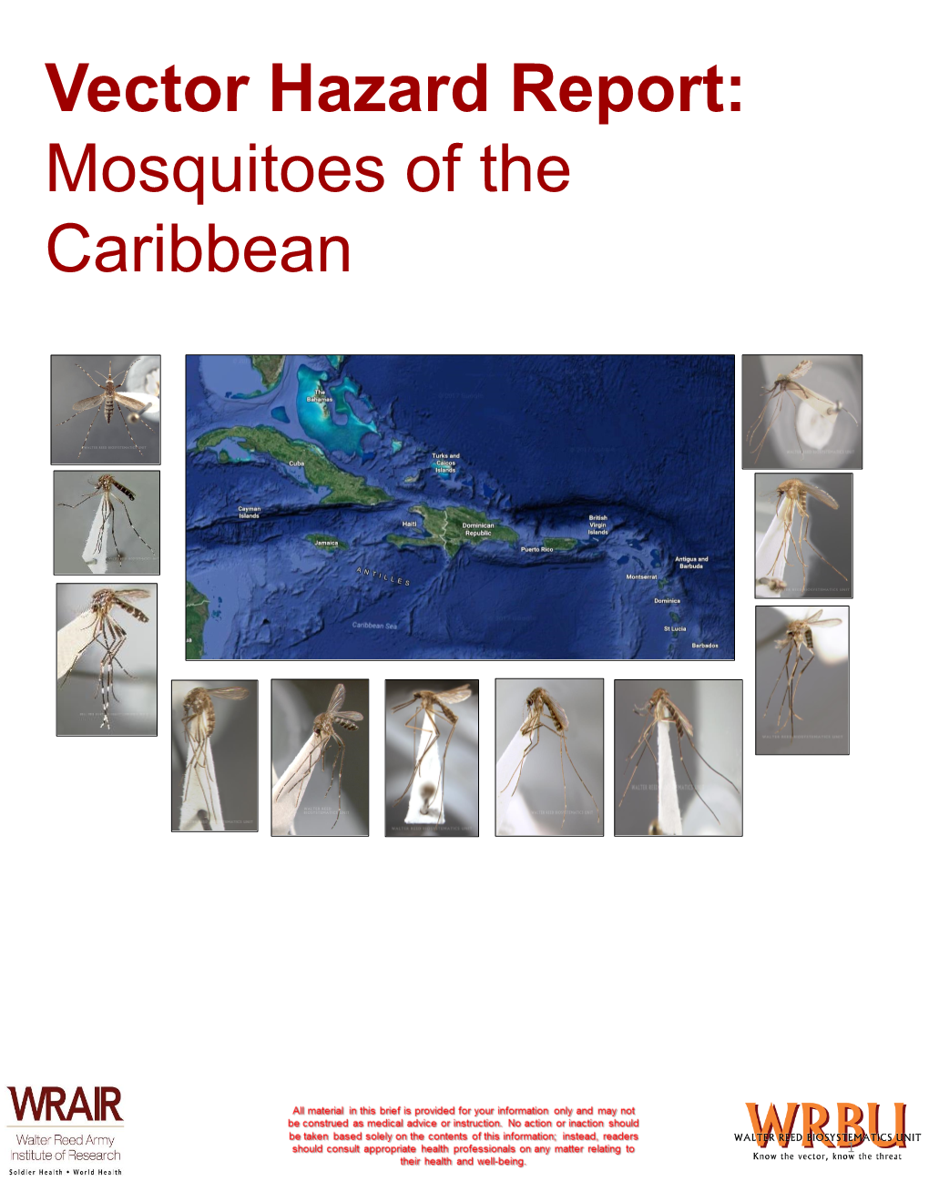 Mosquitoes of the Caribbean