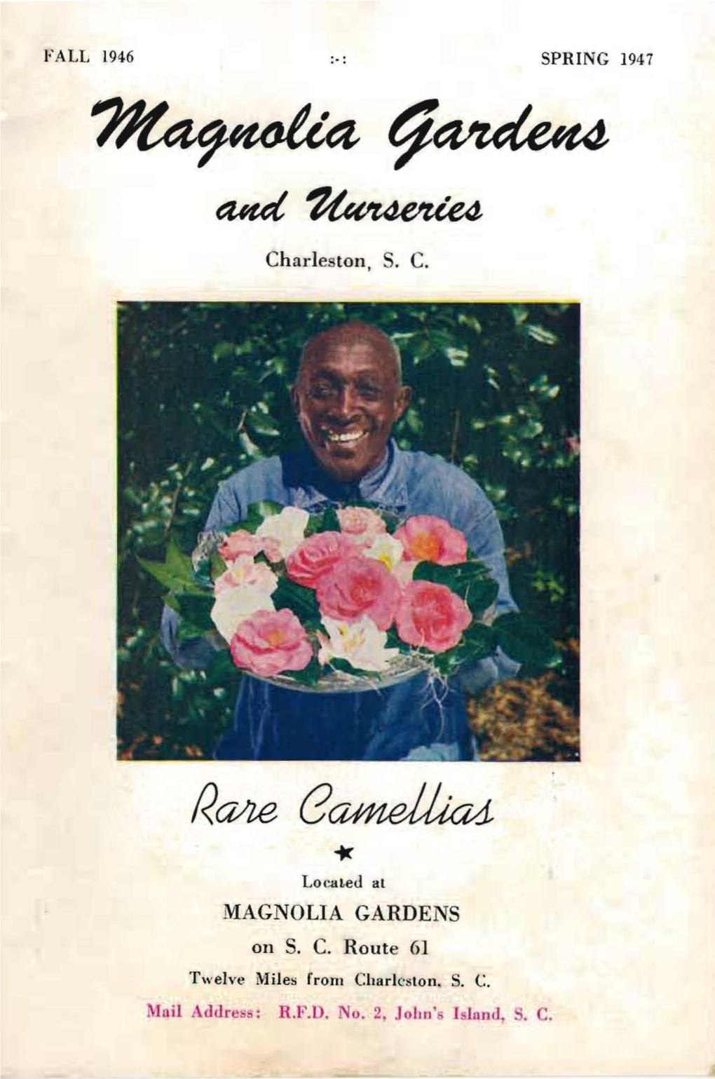 Magnolia Gardens and Nurseries Catalog