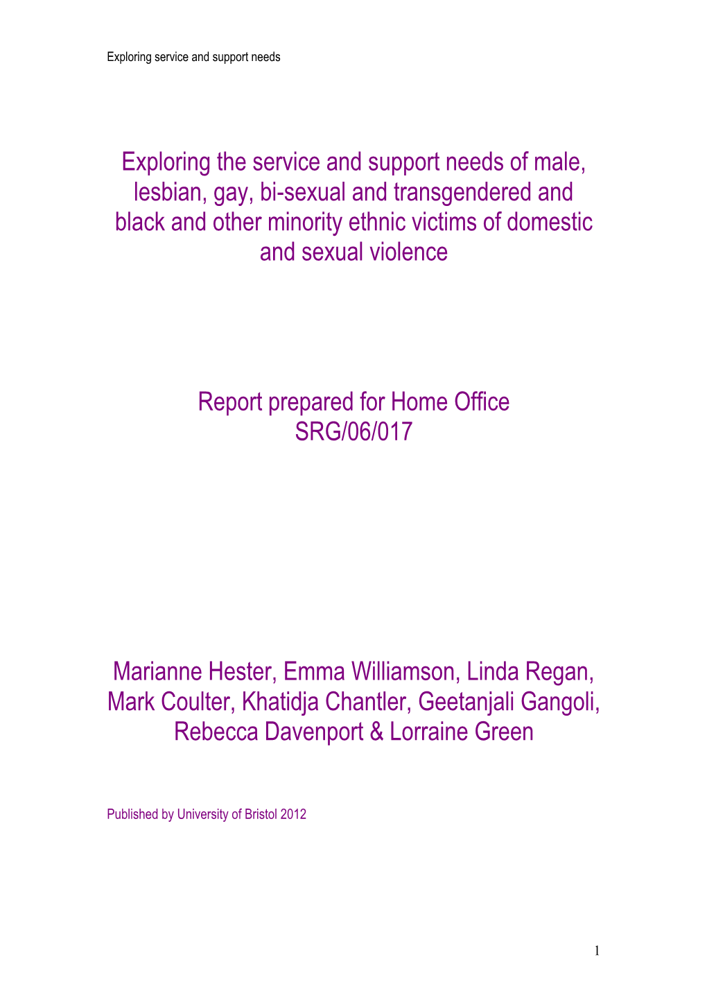 Exploring the Service and Support Needs of Male, Lesbian, Gay, Bi-Sexual and Transgendered and Black and Other Minority Ethnic Victims of Domestic and Sexual Violence