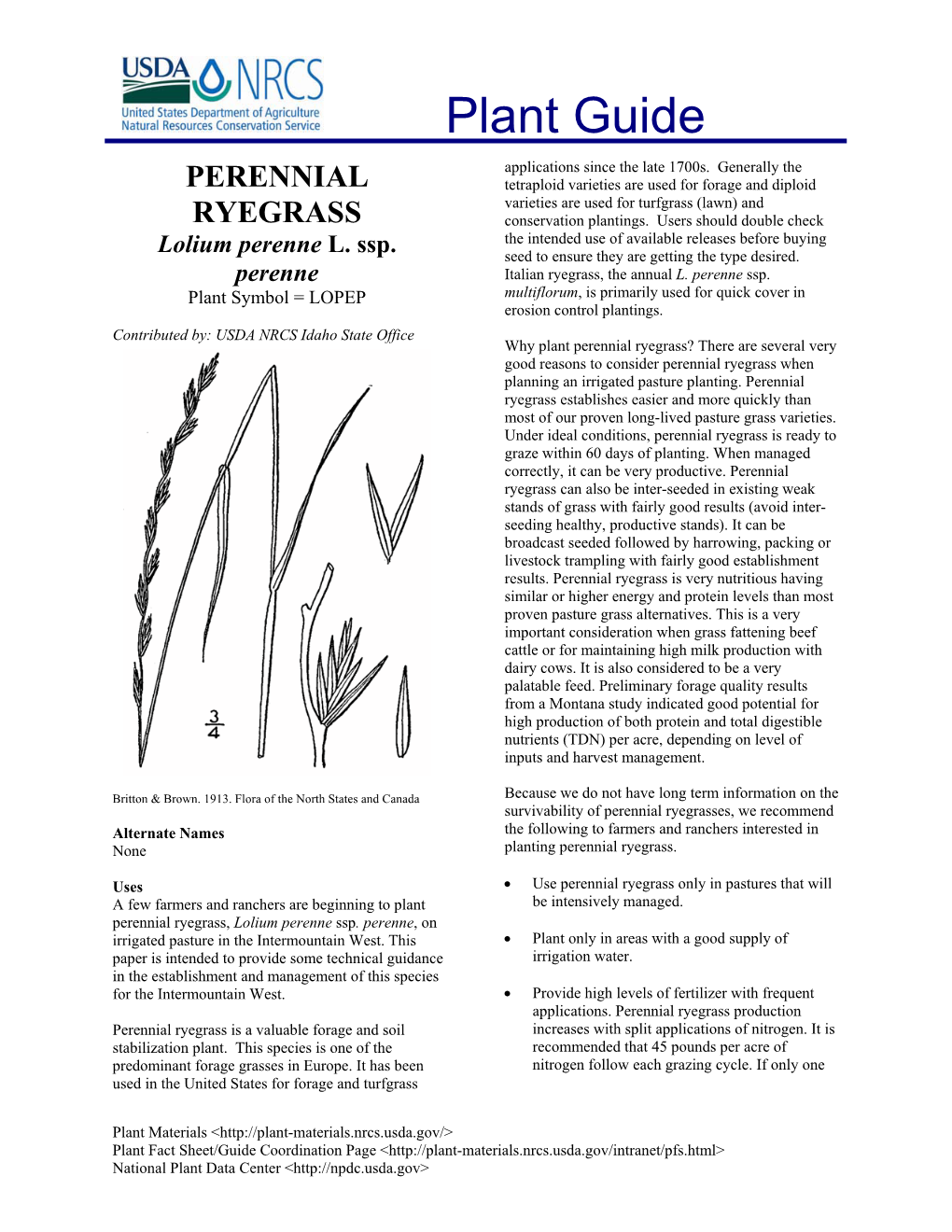 Perennial Ryegrass? There Are Several Very Good Reasons to Consider Perennial Ryegrass When Planning an Irrigated Pasture Planting