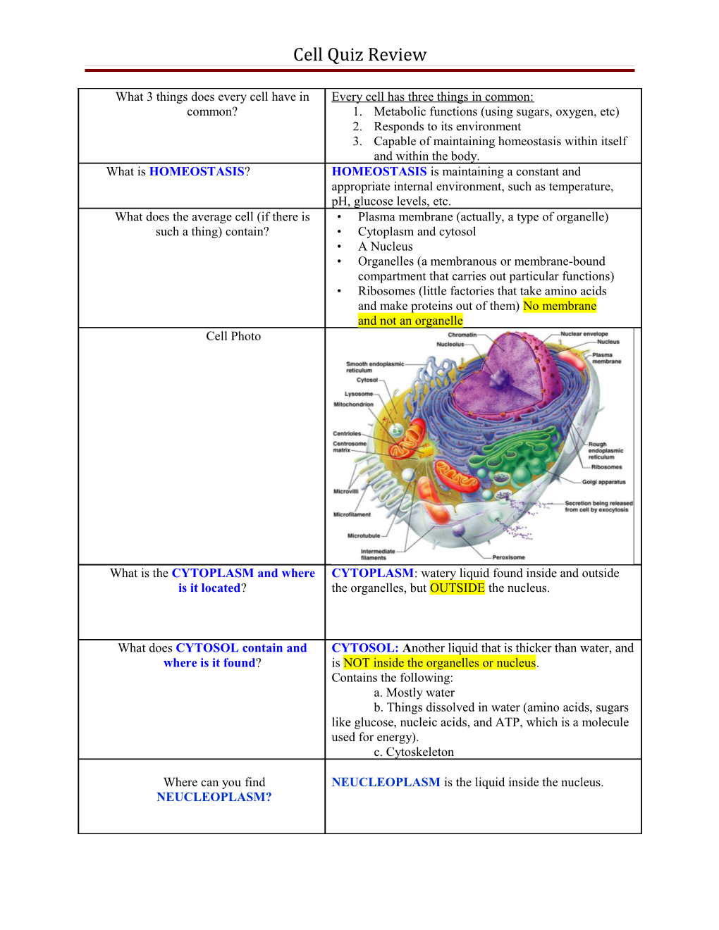 Cell Quiz Review s3