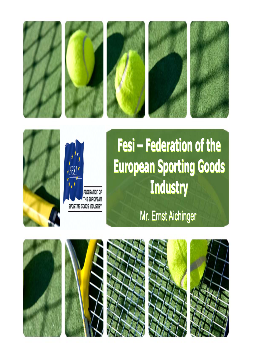 Fesi – Federation of the European Sporting Goods Industry