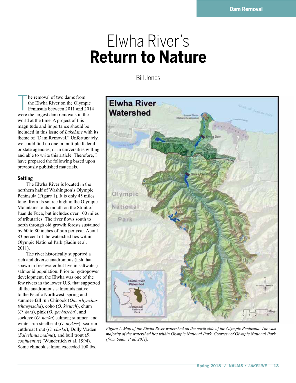 Elwha River's Return to Nature