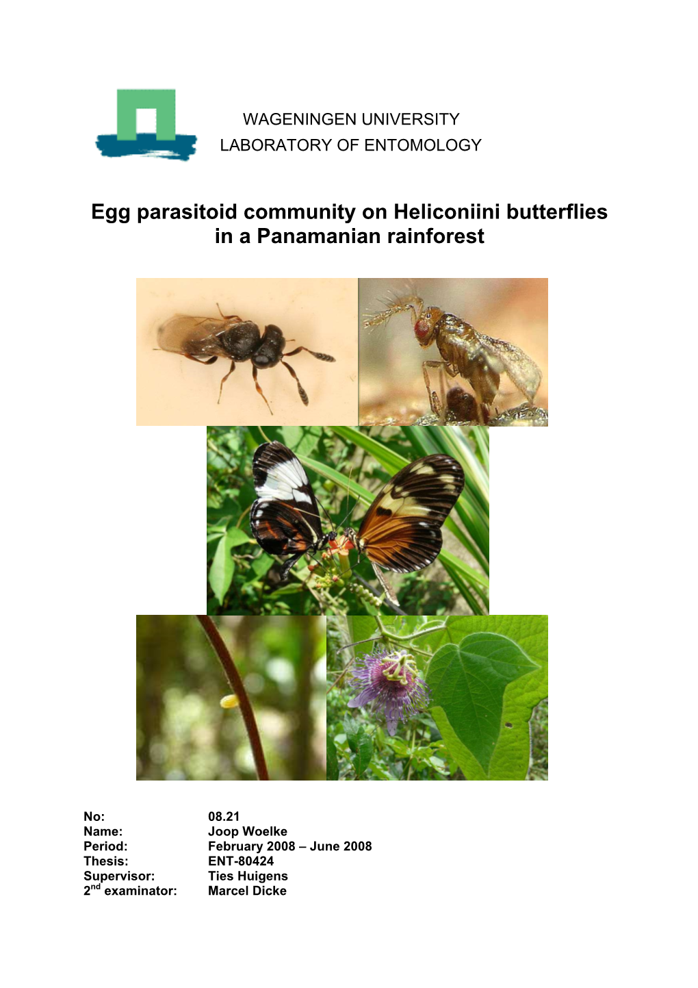 Egg Parasitoid Community on Heliconiini Butterflies in a Panamanian Rainforest