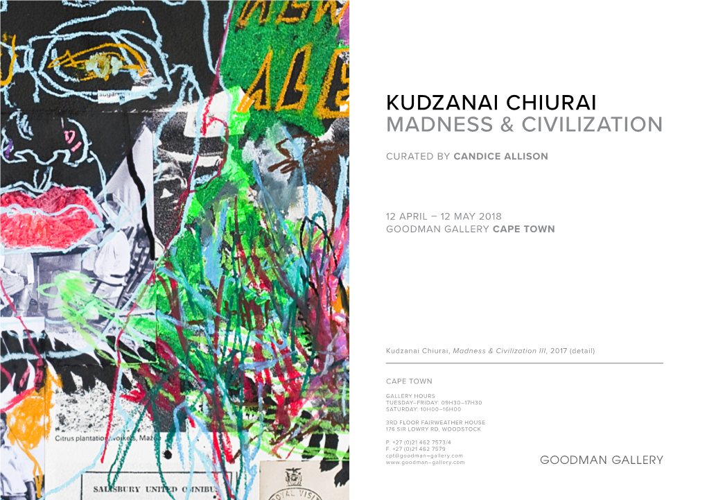 Kudzanai Chiurai Madness & Civilization