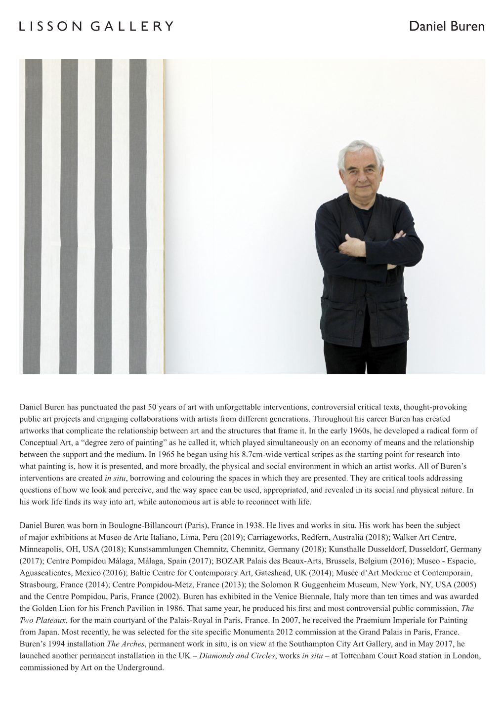 Daniel Buren Biography