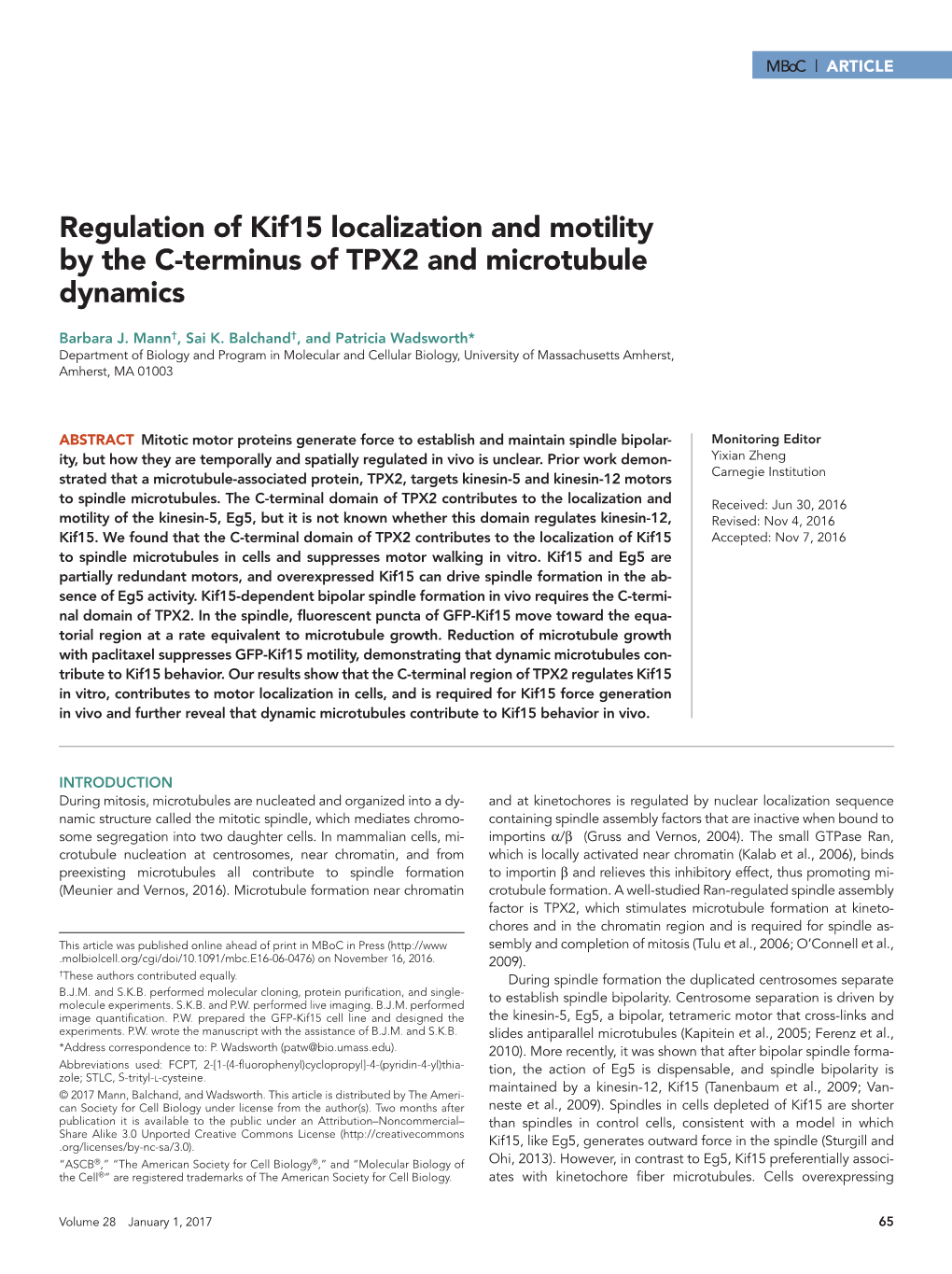 Regulation of Kif15 Localization and Motility by the C-Terminus of TPX2 and Microtubule Dynamics