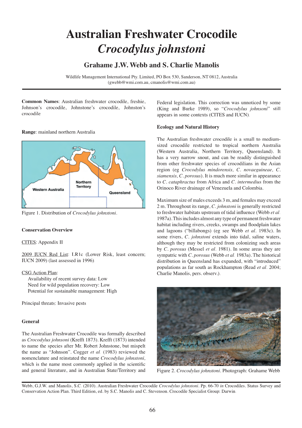 Australian Freshwater Crocodile Crocodylus Johnstoni Grahame J.W