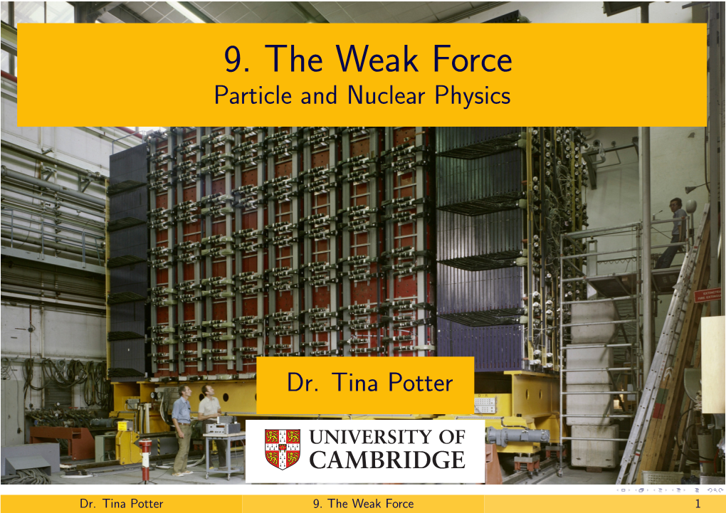 9. the Weak Force Particle and Nuclear Physics