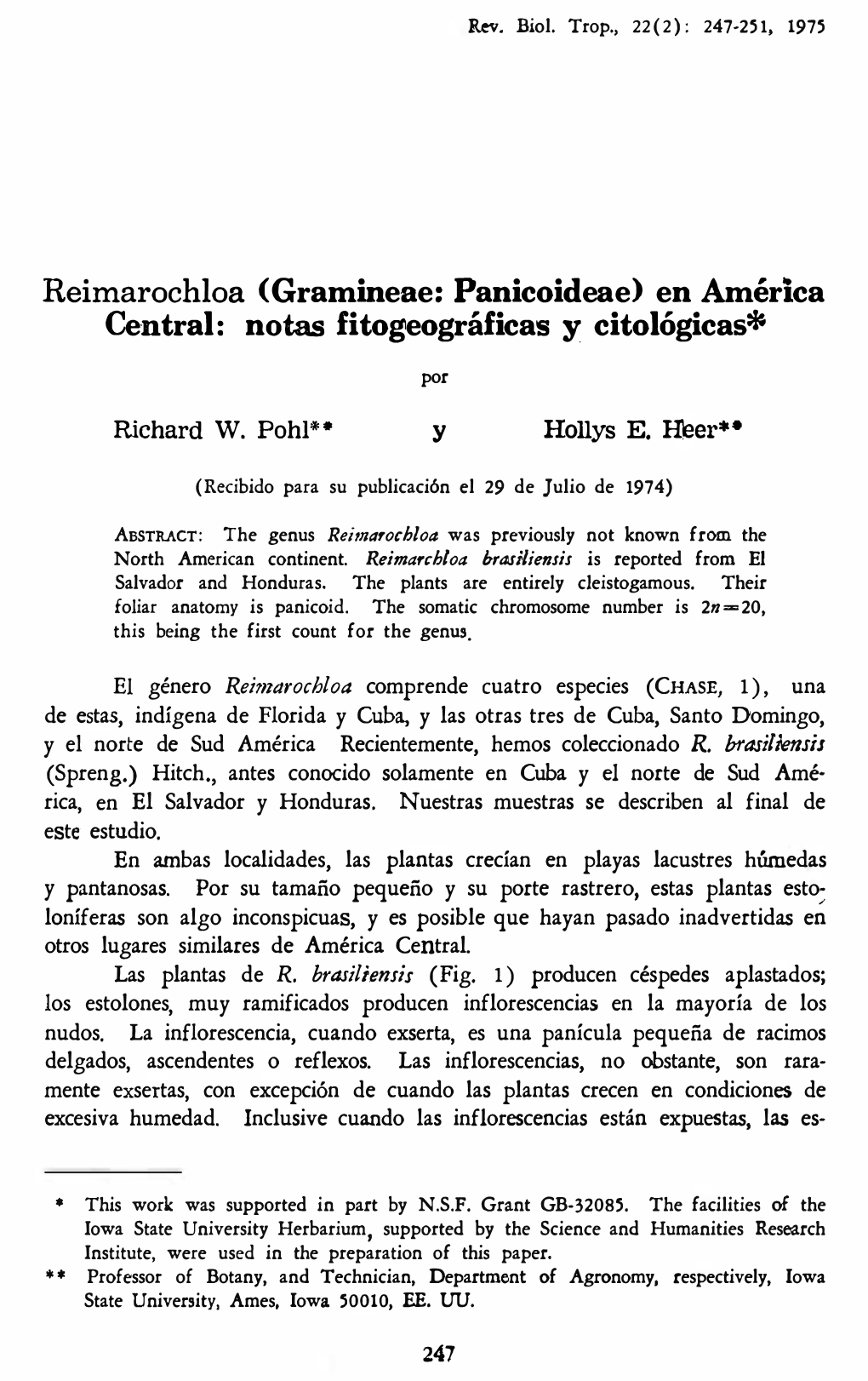 Reimarochloa (Gramineae: Panicoideae) En América Central : Notas Fitogeográficas Y Citológicas*